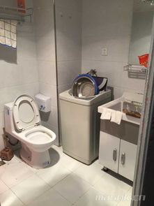 恒泰達(dá)觀天下一室一廳一衛(wèi)精品公寓出租